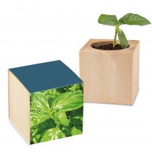 Pflanz-Holz Standardpapier - Basilikum