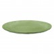 CLUB PLATE 260mm Flacher Teller 260mm nature leaf green
