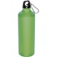 Trinkflasche aus Metall mit Karabinerhaken, 800ml, apfelgrün