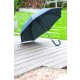 Regenschirm Mousson, Ansicht 3