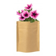 bloemen planten kit - beige