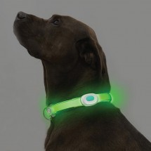 Visto PetSaber Dog Collar - green
