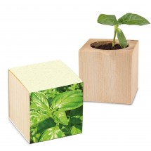 Pflanz-Holz Gaspapier - Basilikum