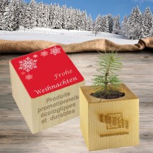 Pflanz-Holz Weihnachten