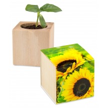 Pflanz-Holz - Standardmotiv - Sonnenblume inkl. 1 Seite gelasert