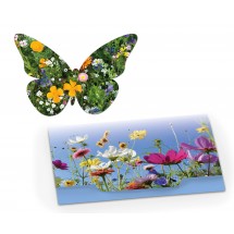 Samenpapier Schmetterling - Standard