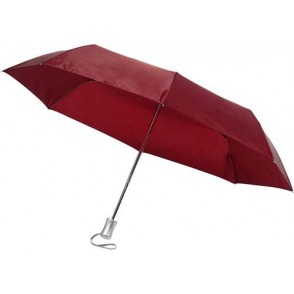 Opvouwbare automatische paraplu in een hoes