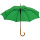 Automatische houten paraplu Nancy - groen