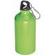 Trinkflasche aus Metall mit Karabinerhaken, 500ml, apfelgrün