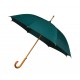 paraplu, automaat-groen