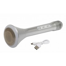 Wireless-Karaoke-Mikrofon CHOIR - silber