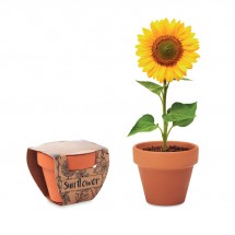 SUNFLOWER Terracotta-Topf Sonnenblume holzfarbend