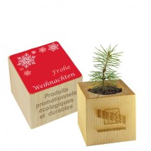 Pflanz-Holz Weihnachten inkl Lasergravur auf einer Seite