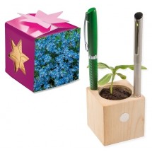 Pflanz-Holz Büro Star-Box