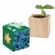 Pflanz-Holz Star-Box